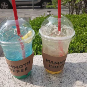 매머드익스프레스 사진
