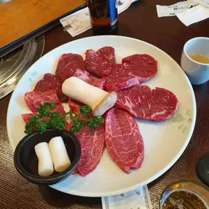 능수정 사진