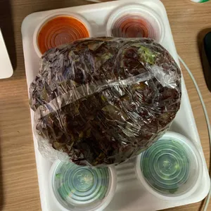 장수족발 사진