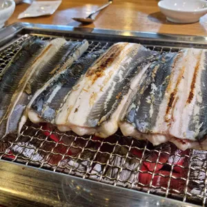 감동장어 사진