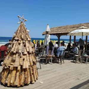 서피비치 선셋바 리뷰 사진