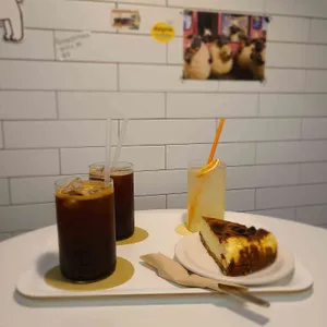 디벨로핑룸 사진