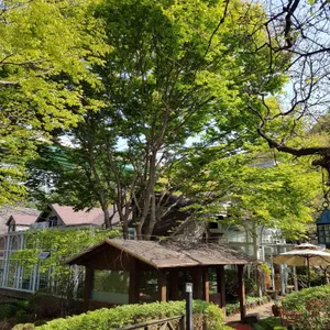 연지 리뷰 사진