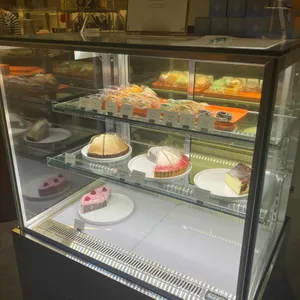 백야 사진
