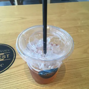 키웨스트 사진