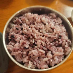 소나무풍경 사진