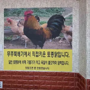 무주뚝배기 리뷰 사진
