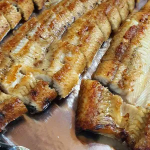 원조풍천민물장어 사진