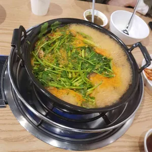 등촌샤브칼국수 사진