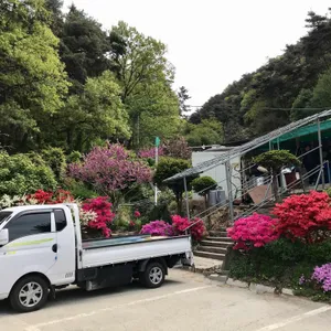 산마루가든 리뷰 사진