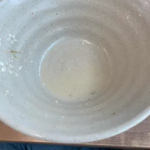 조개미집 사진
