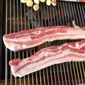 천년소나무 사진