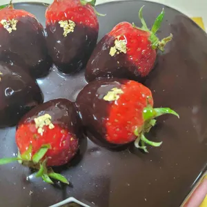 꼼빠도르 사진