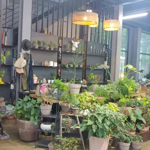 루트플랜트 리뷰 사진
