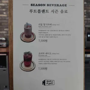 루트플랜트 리뷰 사진
