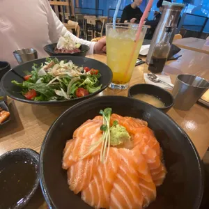 홍대개미 사진