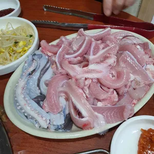바다속친구들 사진