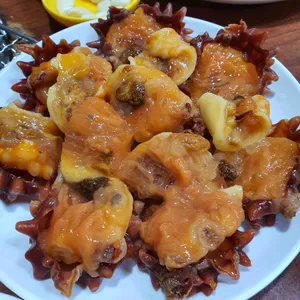 바다속친구들 사진