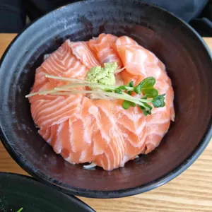 홍대개미 사진
