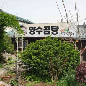 양수곰탕 리뷰 사진