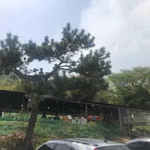 원조추어탕 리뷰 사진