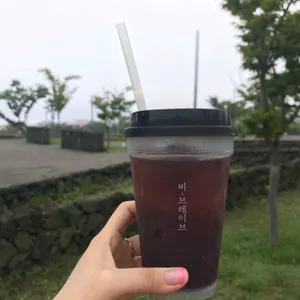 비브레이브 사진