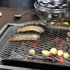 풍천장어 사진