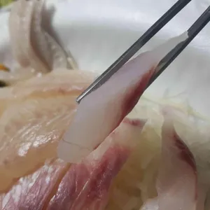 신유네 회포장 사진