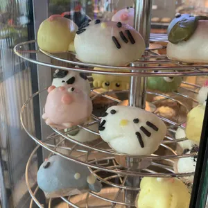 아르보르 사진