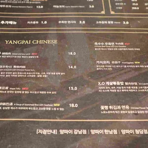 양파이 리뷰 사진