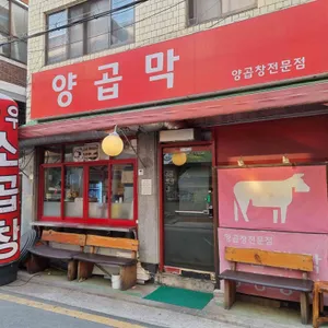 양곱막 리뷰 사진