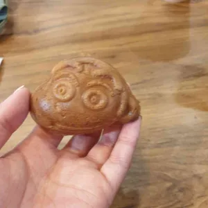 팝퍼블 사진