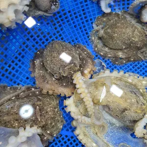 신요나수산 대표 사진