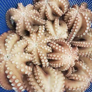 신요나수산 사진