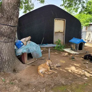 오두리시골밥상 리뷰 사진