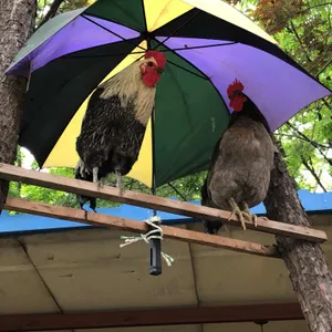 옛골토성 리뷰 사진