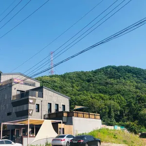 라필로스 리뷰 사진