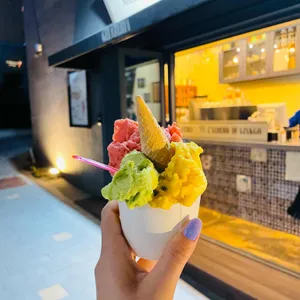 젤라떼리아 징코 사진