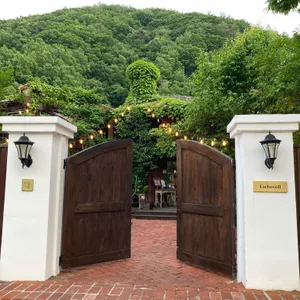 리베볼 리뷰 사진