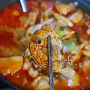 홍이네 사진