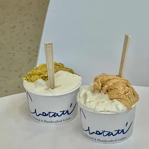 코타티 사진
