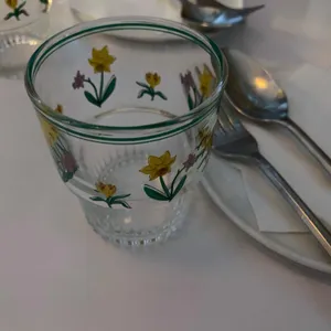 꼬르동 사진