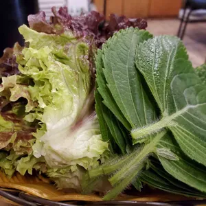 참숯민물장어구이 사진