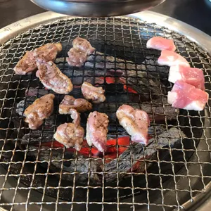 다키닥팜 리뷰 사진