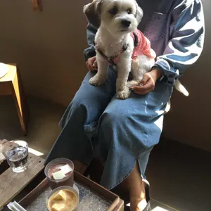 더 리트리브 사진