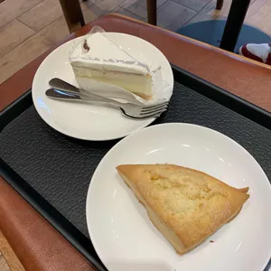 스타벅스 리뷰 사진