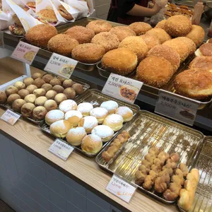 파파도나스 사진