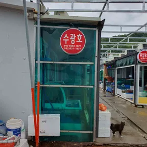 수광호 리뷰 사진