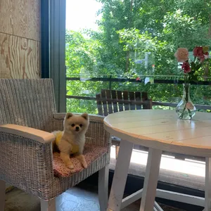그리너리 리뷰 사진