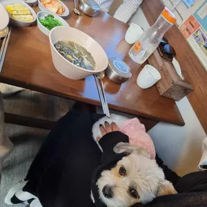 어애랑 리뷰 사진